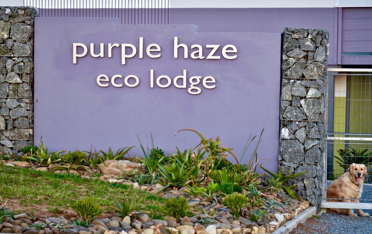 Purple Haze Eco Lodge Chintsa Dış mekan fotoğraf